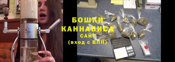 крисы Осташков