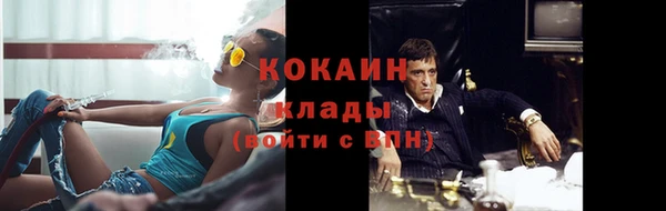 apvp Осинники