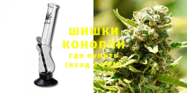 apvp Осинники