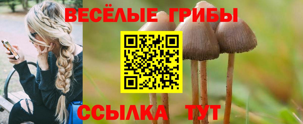 Зеленодольск  Псилоцибиновые грибы мицелий  Вход с VPN 